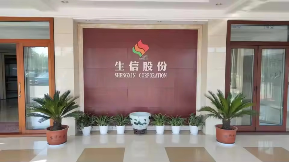 Κίνα ANHUI SHENGXIN  CORPORATION LIMITED Εταιρικό Προφίλ